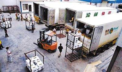 &#38647;&#31454;&#25216;&#40;&#20013;&#22269;&#41;&#23448;&#26041;&#32593;&#31449;&#45;&#30331;&#24405;&#20837;&#21475;